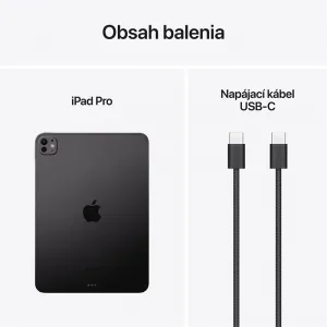 Apple iPad Pro 11" (M4)/16GB/1TB Space Black