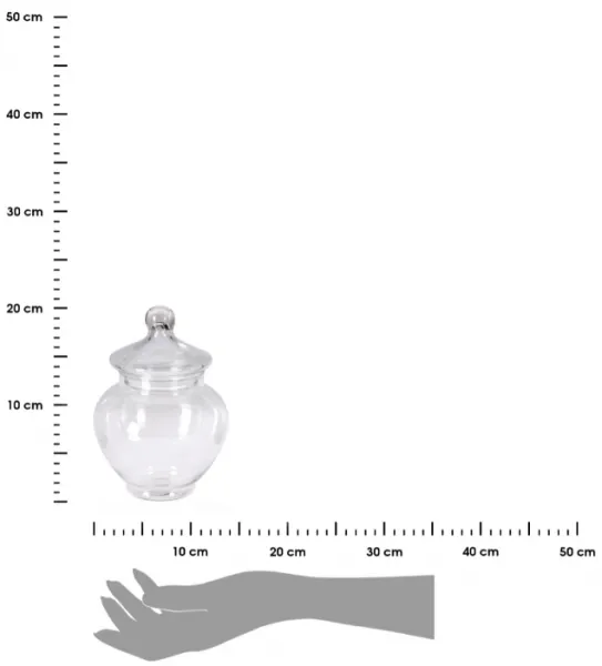 Excellent Houseware Sklenená dóza AURELIA 19 cm číra