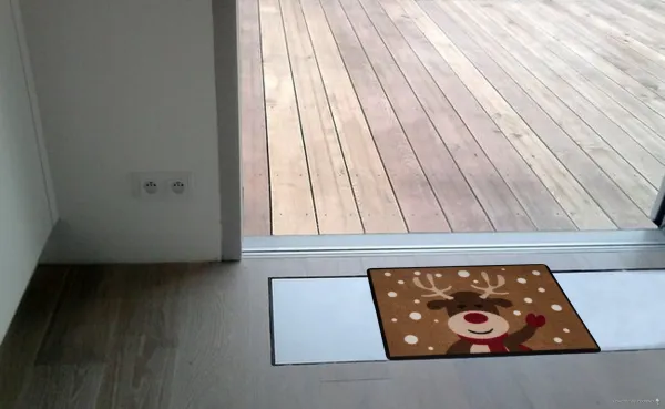 Hanse Home, AKCIA: 40x60 cm Rohožka Printy 103047 – na von aj na doma, hnedá, chodba / predsieň