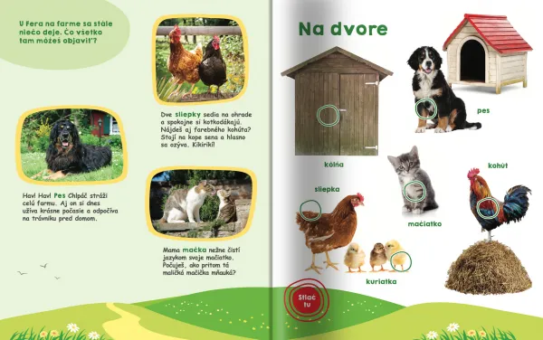Moja veľká kniha Zvuky na statku