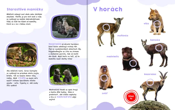 Moja veľká kniha Zvuky mláďat