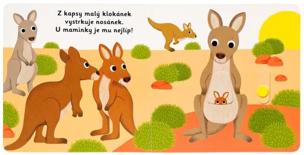 MiniPÉDIA –  Dobrý deň, kenguriatko!