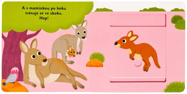 MiniPÉDIA –  Dobrý deň, kenguriatko!