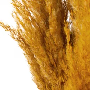 ArtFir Sušená tráva NATURA | oranžová 73 cm