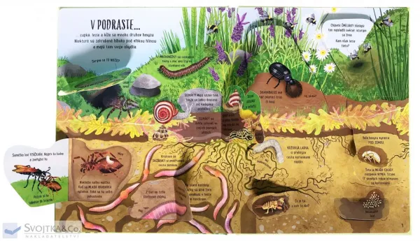 Chrobáky, motýle a iné drobné živočichy
