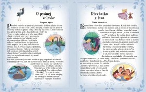 101 príbehov zo začarovaného lesa