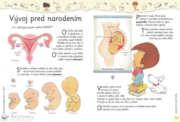 Ako prichádzajú deti na svet?