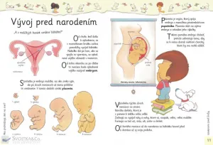 Ako prichádzajú deti na svet?