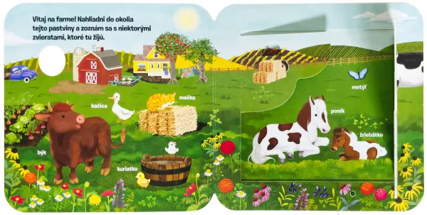 Pozri sa pod okienko BÚÚ