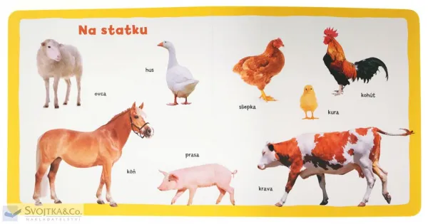 Mojich prvých 100 zvierat