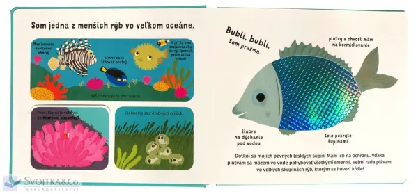 Spoznávaj dotykom - Pod hladinou mora