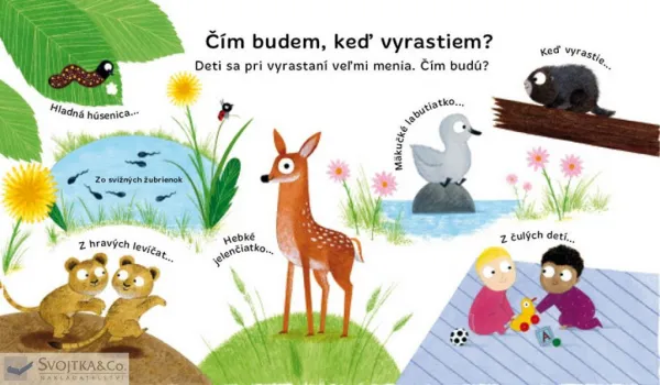 Odkiaľ prichádzajú deti?