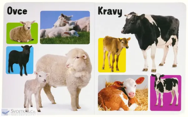 Moje prvé slová