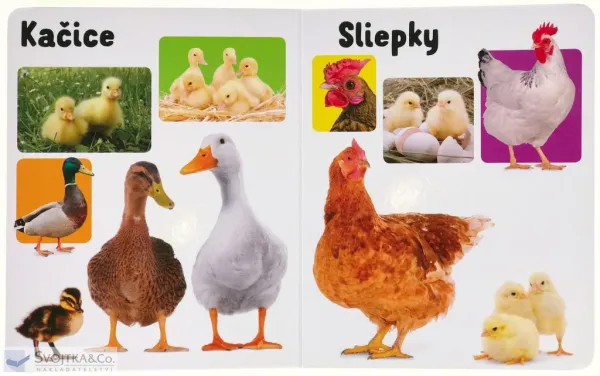 Moje prvé slová