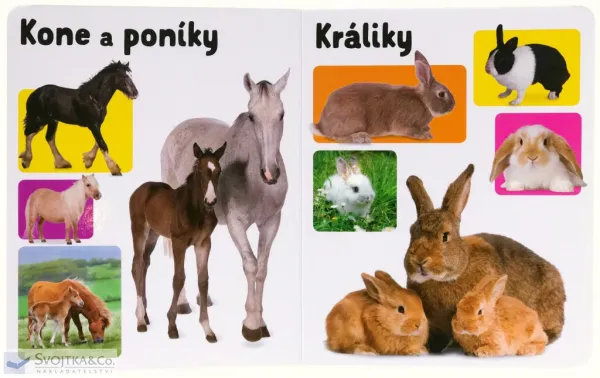Moje prvé slová