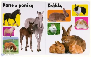 Moje prvé slová
