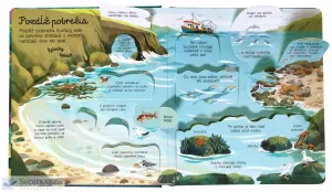 Pozri sa pod obrázok - Moria a oceány