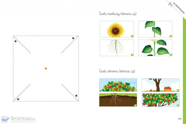 Môj veľký zošit Montessori Objavuj prírodu