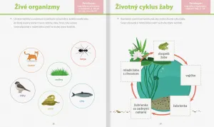 Môj zošit na precvičovanie Montessori Spoznávam a objavujem svet