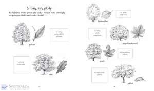 Montessori – aktivity pre deti