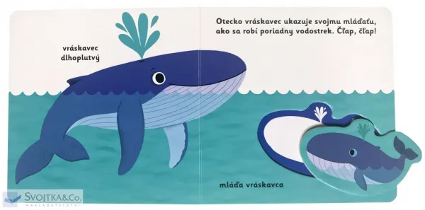 MiniPÉDIA - Objavujeme svet! Mláďatá z mora