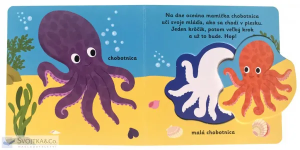 MiniPÉDIA - Objavujeme svet! Mláďatá z mora
