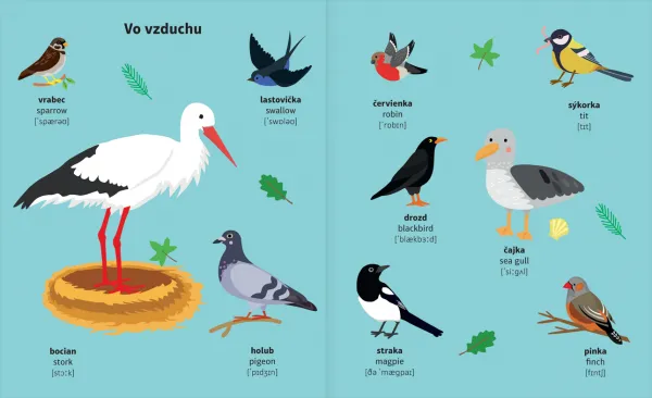 Môj prvý slovníček - Zvieratá slovenčina - angličtina