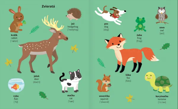 Môj prvý slovníček - prvé slová slovenčina - angličtina