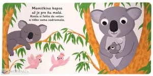 MiniPÉDIA – Dobrú noc, koala!