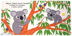 MiniPÉDIA – Dobrú noc, koala!