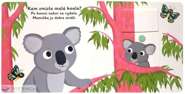 MiniPÉDIA – Dobrú noc, koala!