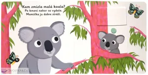 MiniPÉDIA – Dobrú noc, koala!
