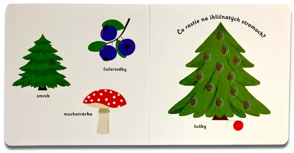MiniPÉDIA – Objavujeme svet! Na horách