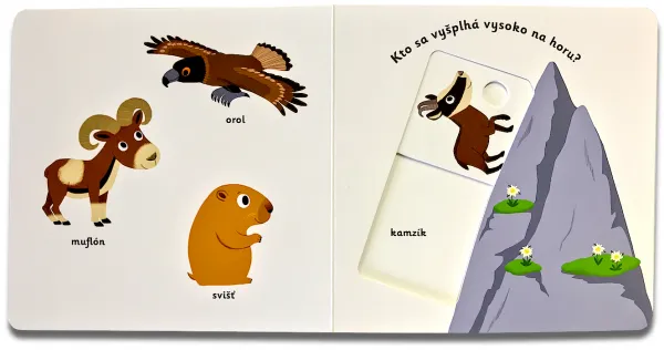 MiniPÉDIA – Objavujeme svet! Na horách