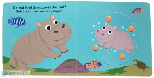 MiniPÉDIA - Do kúpeľa, hrošík!