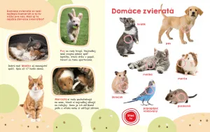 Moja veľká kniha Zvuky zvierat