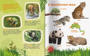 Moja veľká kniha Zvuky divočiny