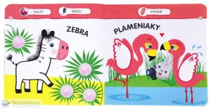 Malý zajačik – ZOO