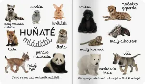 Mláďatá Prvé slová