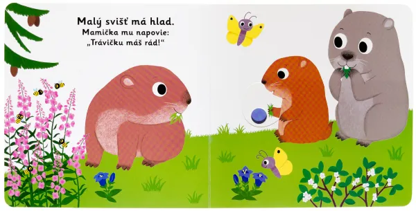MiniPÉDIA - Dobrú noc, malý svišť!