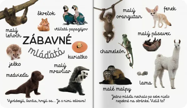 Mláďatá Prvé slová