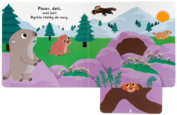 MiniPÉDIA - Dobrú noc, malý svišť!