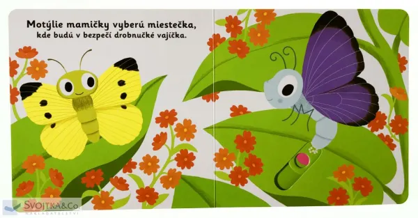 MiniPÉDIA – Dobrý deň, motýlik!