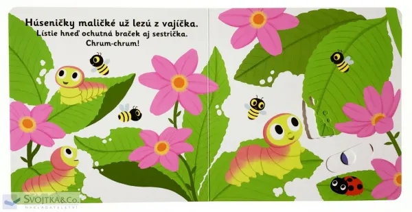 MiniPÉDIA – Dobrý deň, motýlik!