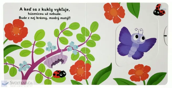 MiniPÉDIA – Dobrý deň, motýlik!