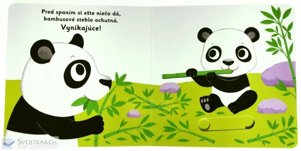 MiniPÉDIA – Dobrú noc, panda!