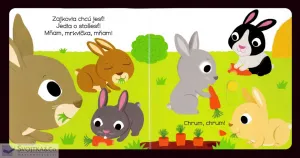 MiniPÉDIA – Dobrý deň  zajačik!