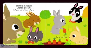 MiniPÉDIA – Dobrý deň  zajačik!