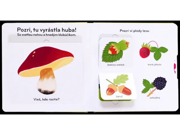 Les – pohyblivá kniha - Kolektív autorov