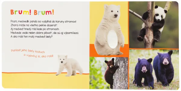 Huňaté zvieratá - Počúvaj, kto to môže byť?